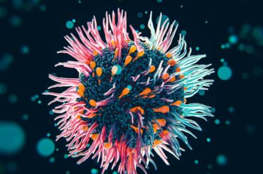 a close up of a flower on a black background